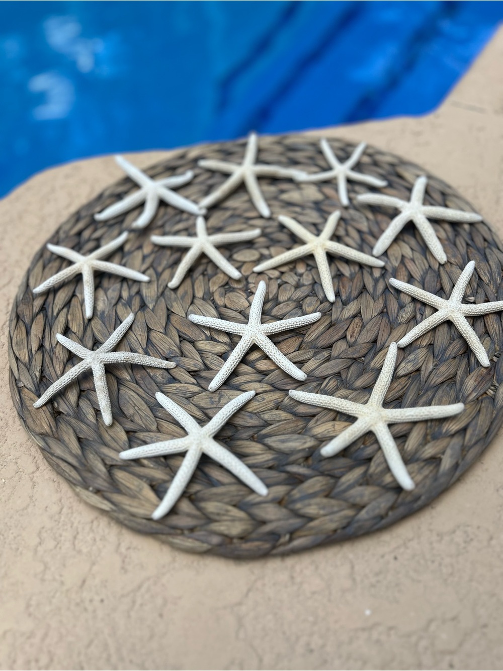 Natural Finger White Starfish. Size is 4-6 inches. Set of 12.